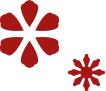 deco